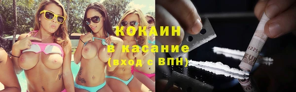 apvp Алзамай