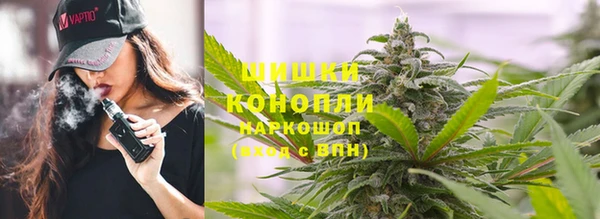 apvp Алзамай